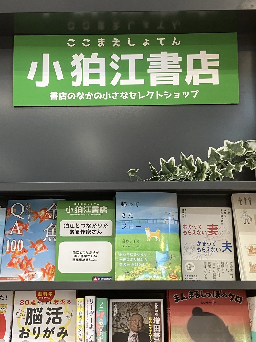紀伊國屋書店狛江店さんに先程伺いました。『帰ってきたジロー』を一番良い場所に置いてくださりとてもありがたいです…！
（社名変更に伴い、啓文堂書店狛江店→ 紀伊國屋書店狛江店に本日から屋号が変わったそうです。）
本を購入時、ブックカバーが違っており気付きました📕

#狛江
#狛江市
#児童書