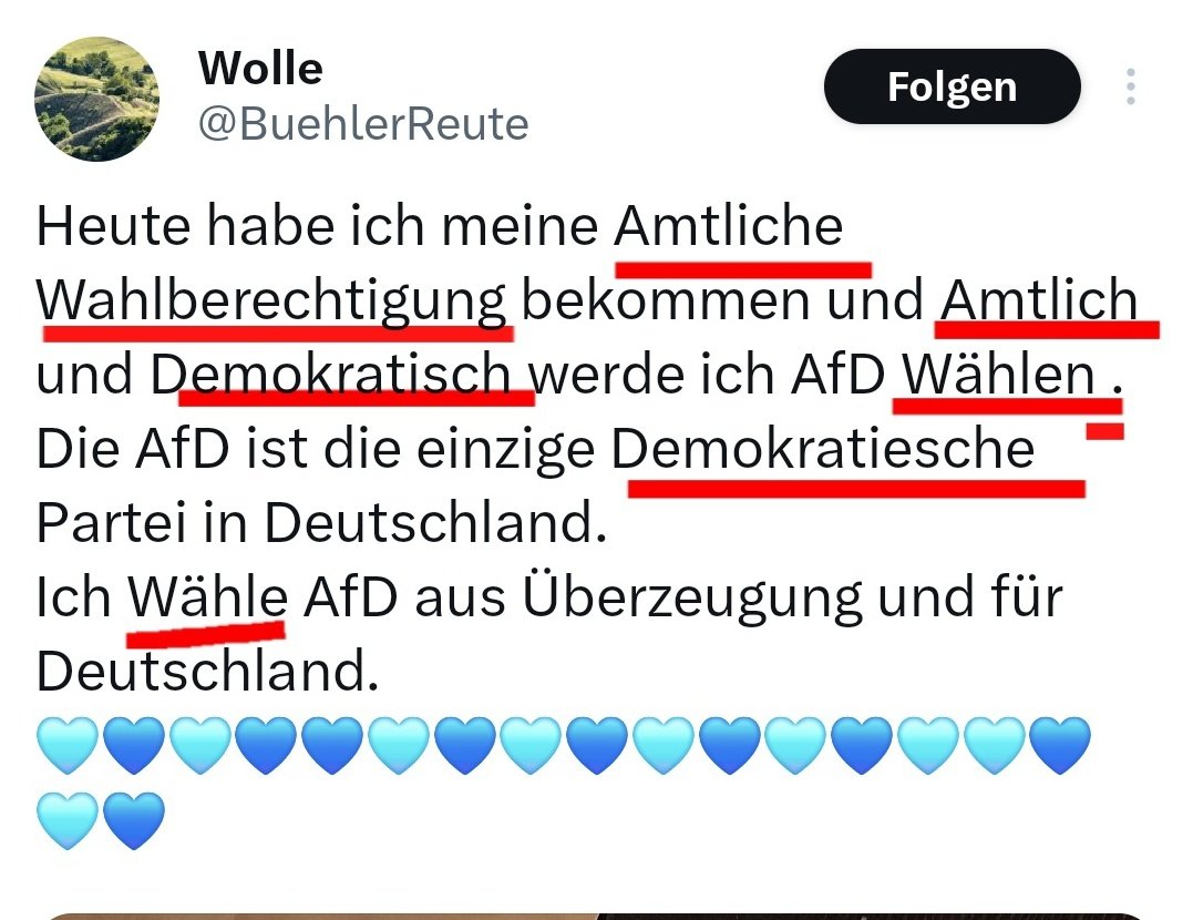 Ella 🇸🇪 tweet media