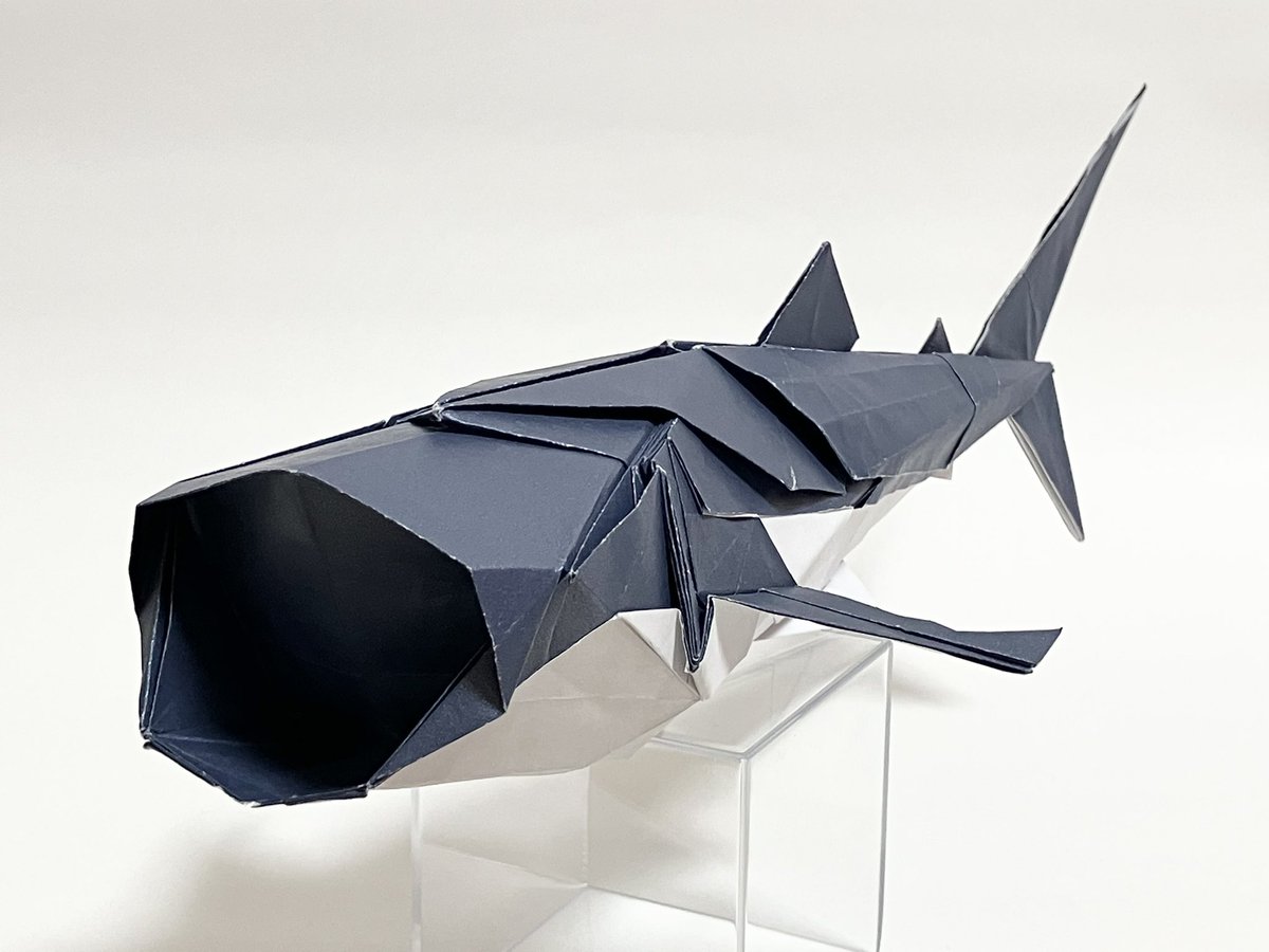 ジンベエザメ

2025年10月創作。昔から折りたかった題材だったけど、今年の夏に海遊館に行って実物を見たのがきっかけで創った作品。
大きな口を開けてエサを食べる姿が印象的だったので仕上げに反映させてます。
使った紙はセリアの包装紙。だいぶ破れやすい。