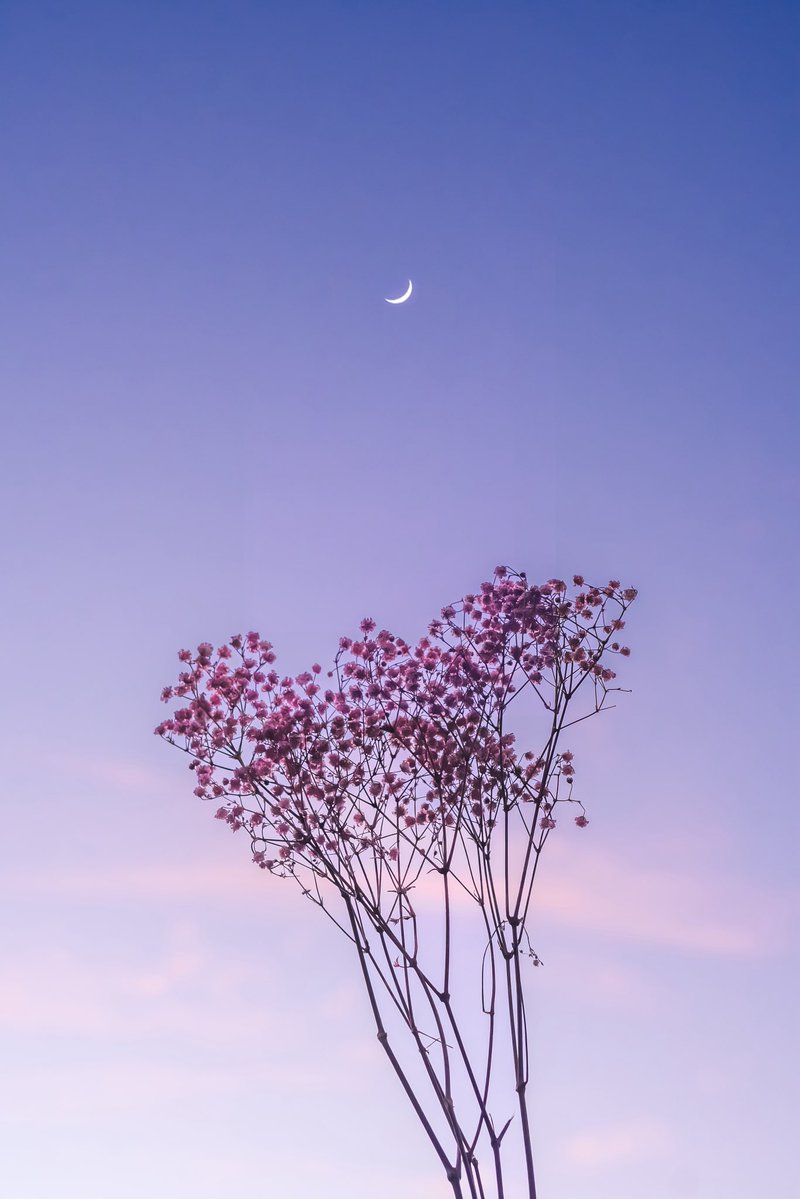 空と優しく溶け合う花束。