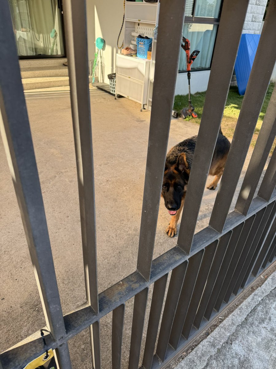 กลับถึงบ้าน กะลังลงรถจะเปิดประตูรั้ว
ช้อคคคค ออกมาได้ยังง๊ายยยย

// ดช.กีตาร์ ออกประตูบ้านเป็นแล้วคับ 😅