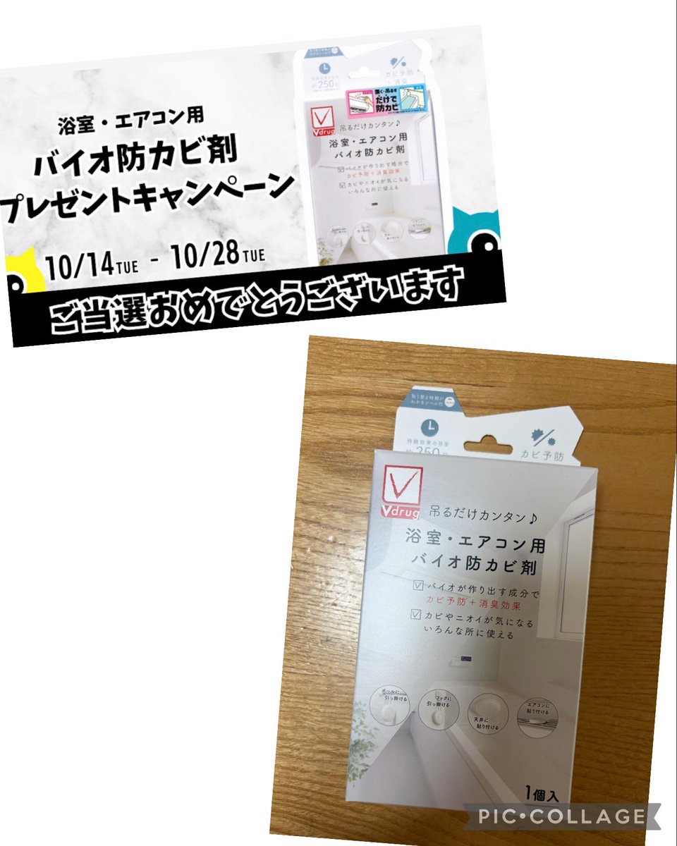 ゆん🐱🌸 (@7FDqopm4kS57626) / Posts / X