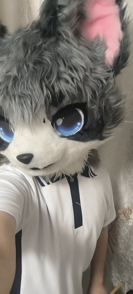 年末回归最原始的毛五