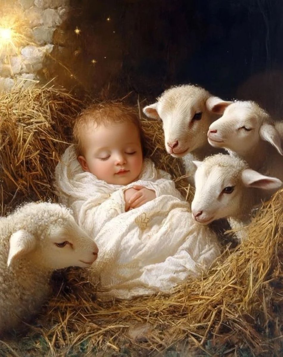 ¡Feliz Navidad! Gloria a Dios en el cielo y en la tierra paz a los hombres de buena voluntad.