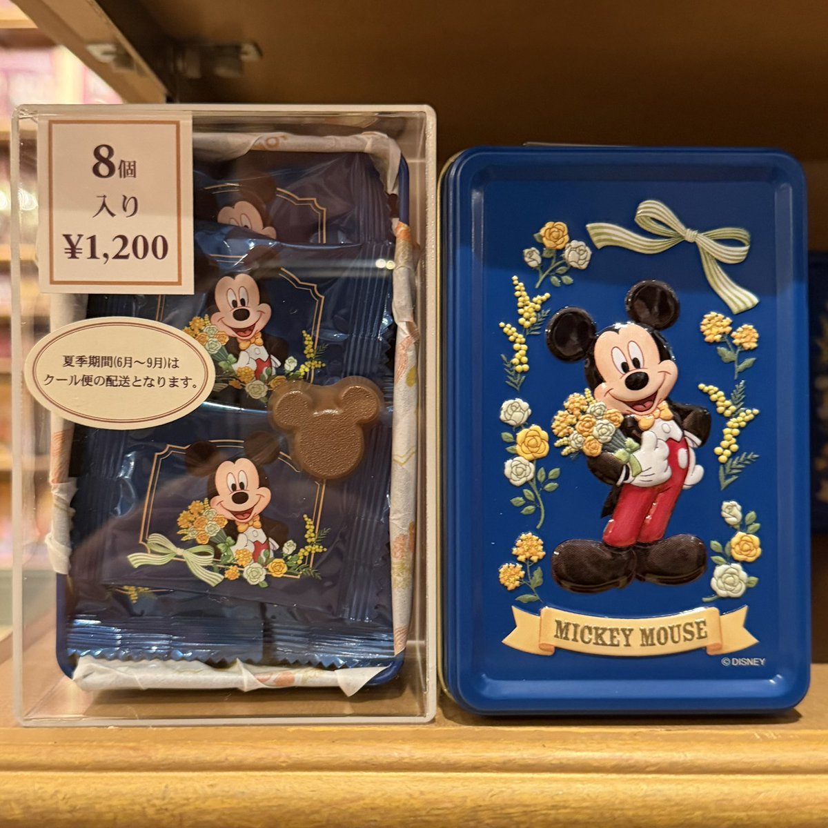 ディズニーリゾート　セット売り〜205 ディズニーストア ディズニーリゾート店限定 25周年記念 ミニーセット