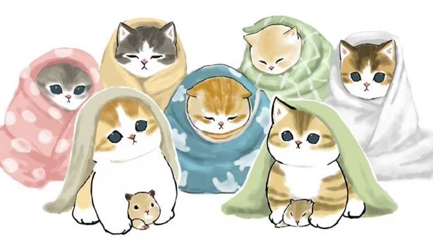寒いよー