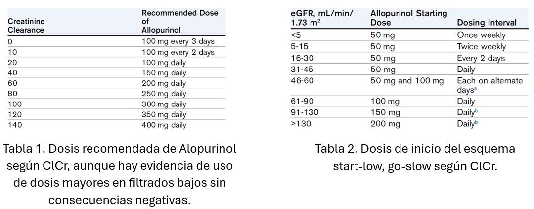 NefroGetafe's tweet photo. 🎄¿El ácido úrico te trae de cabeza en Navidad?
🦐No te quedes sin marisco.
🤯Las claves para la prevención de la hiperuricemia en ERC aquí. ⬇️⬇️⬇️ @SENefrologia @SOMANEorg 
Gout Management in Patients With CKD: A Review - American Journal of Kidney Diseases https://t.co/nB6gKpqYgm