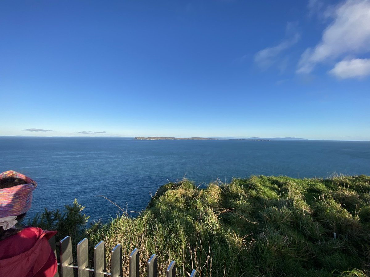 Exceedence Ltd tweet media