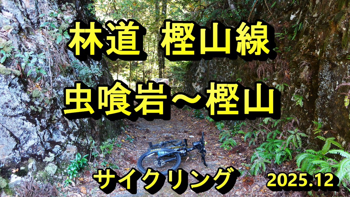 「和歌山県　林道 樫山線　虫喰岩～樫山　サイクリング　2025.12.10」をYouTubeに投稿しました😅💦。
よろしければご覧戴けますと嬉しいです🙏💦。
youtu.be/6WYx3Y1XWM4