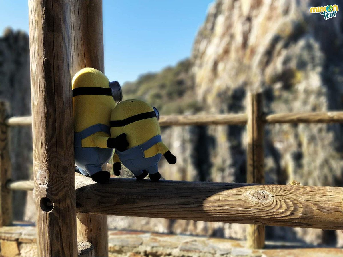 MiniOnTourES's tweet photo. ¡Hola amigui! 👋¿Todavía no nos sigues en #Instagram #TikTok o #Facebook? 😲 ¡Ya estás tardando! 🤭😇 Búscanos como MiniOnTourES 😎, que tus 2 Minions favoritos te están esperando 😜. Todos nuestros artículos los tienes en https://t.co/OyMuaYoLjF 😊 #ViajarMola con #MiniOnTour https://t.co/x1gjRvmxg2
