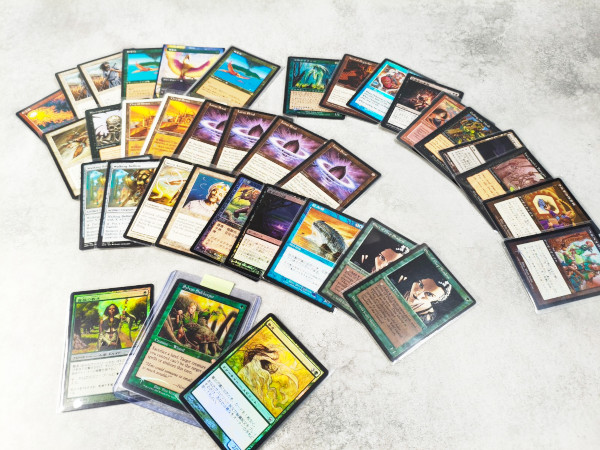 中古販売情報！] MTGの在庫を更新しました！ 《森を護る者》の初版FOIL