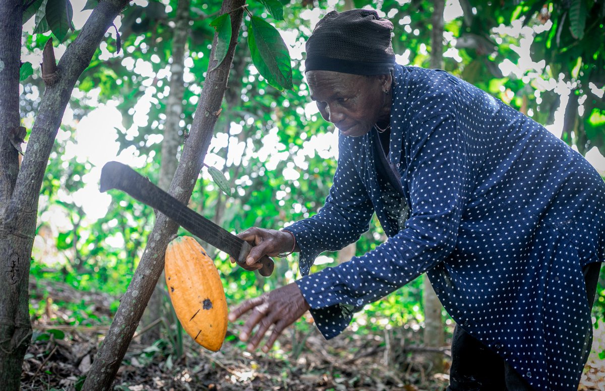 Vice Versa Media Ghana tweet media