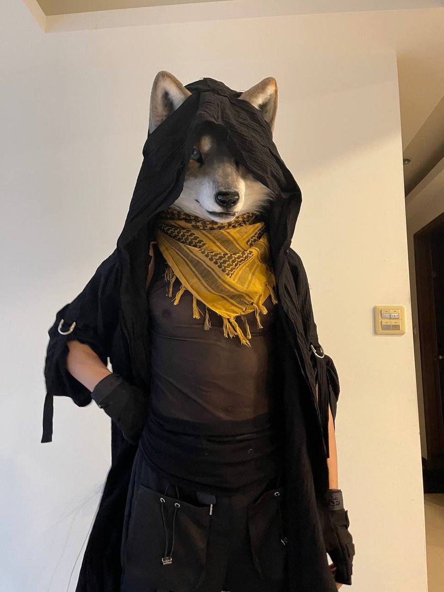 Aku 🐾 tweet media