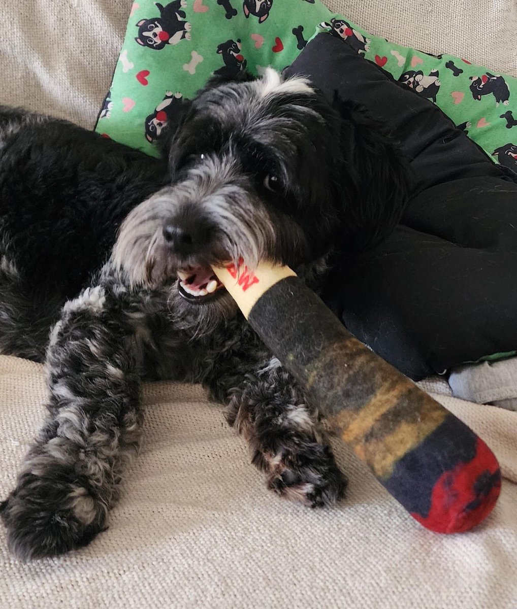 leletsverso's tweet image. deixe ele com o baseadinho dele