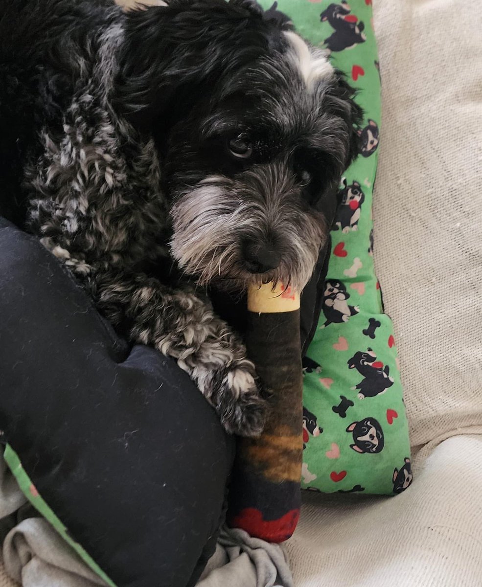 leletsverso's tweet image. deixe ele com o baseadinho dele