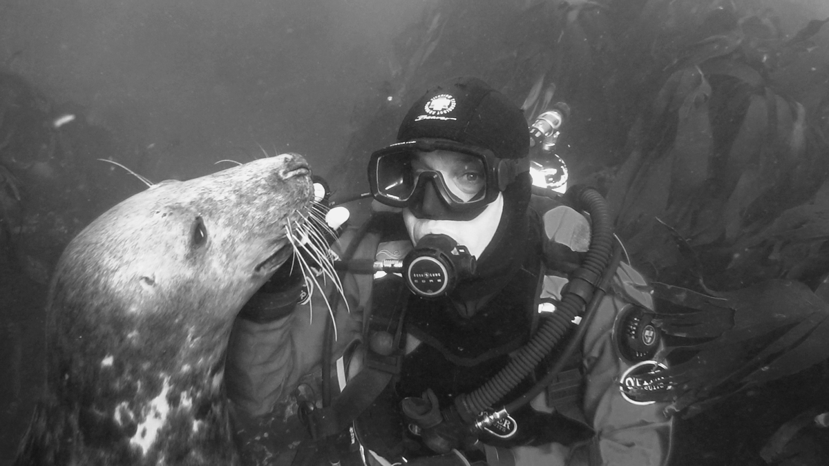Sealdiver's tweet photo. At one with #nature
#Peace_&amp;_Calm https://t.co/1cSFP5xgrx