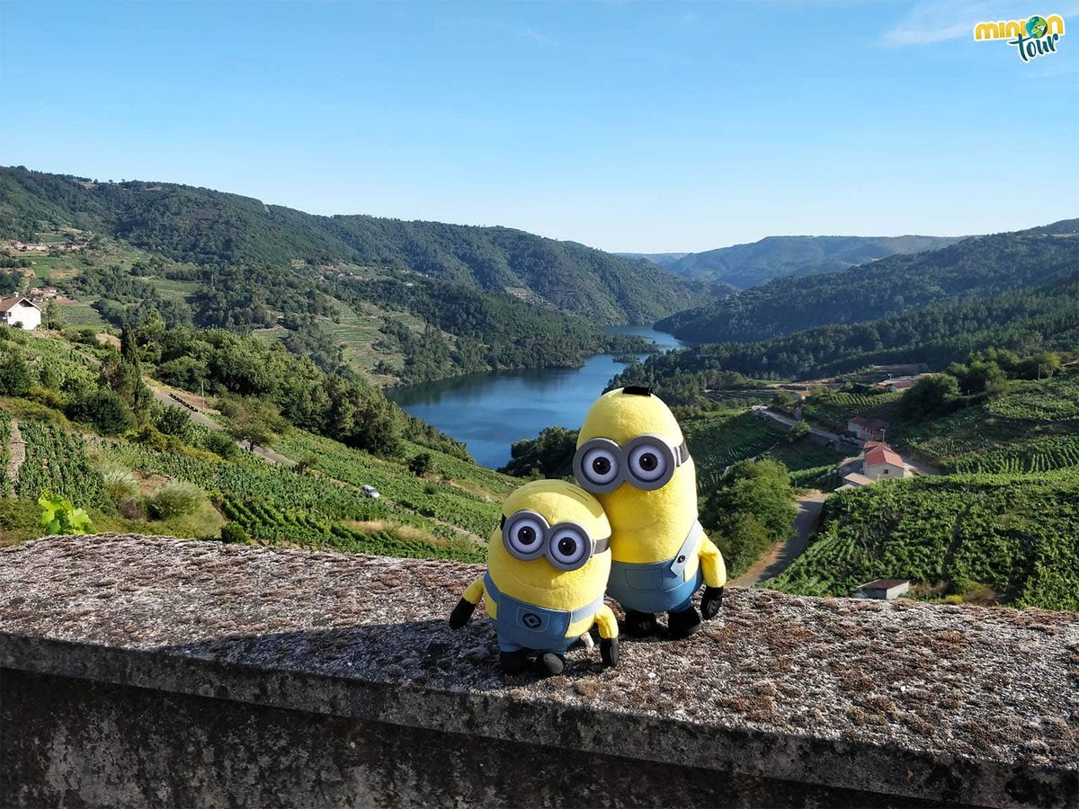 MiniOnTourES tweet picture