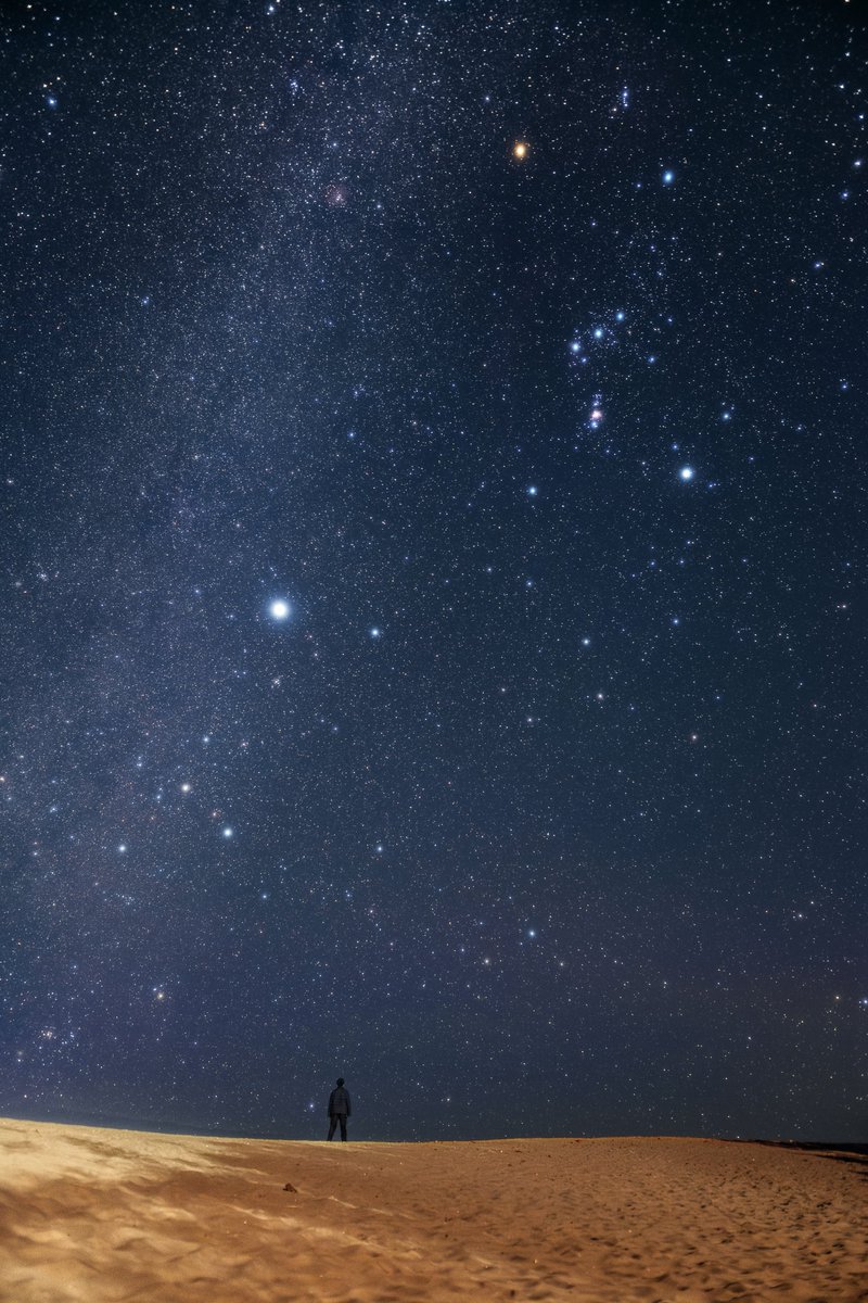 瞬く星空の下で