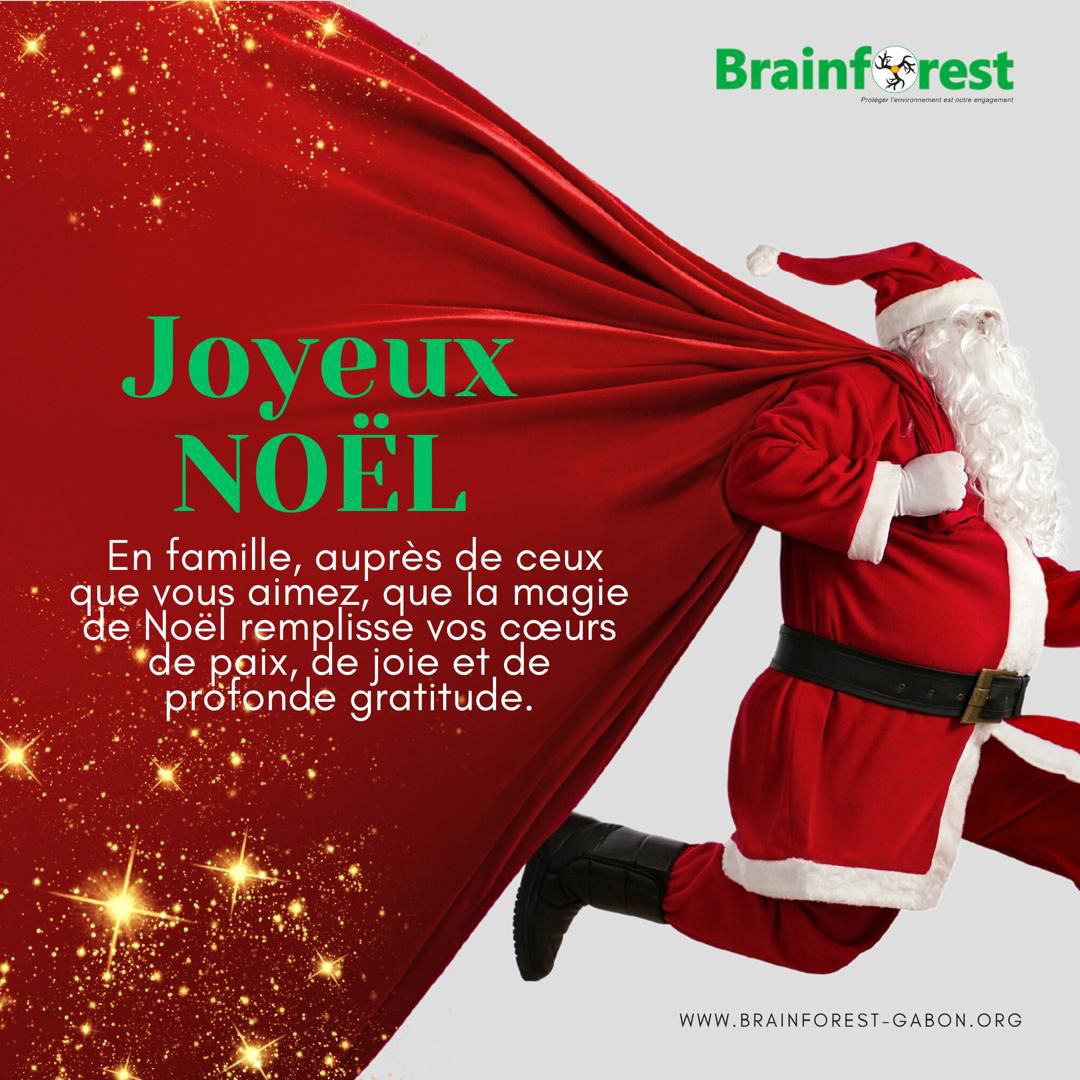 Brainforest Gabon tweet media