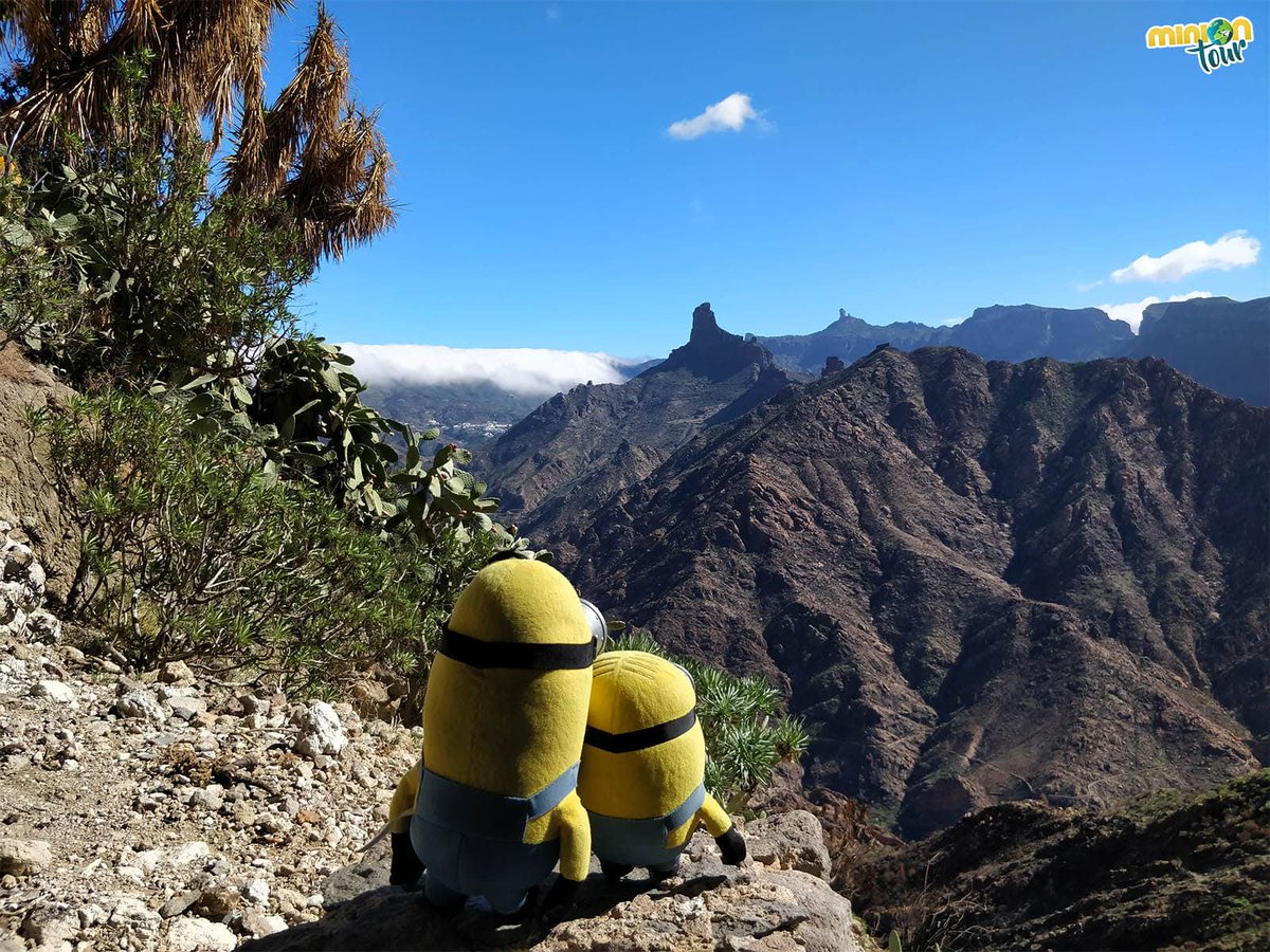 MiniOnTourES's tweet photo. ¡Hola amigui! 👋¿Todavía no nos sigues en #Instagram #TikTok o #Facebook? 😲 ¡Ya estás tardando! 🤭😇 Búscanos como MiniOnTourES 😎, que tus 2 Minions favoritos te están esperando 😜. Todos nuestros artículos los tienes en https://t.co/OyMuaYoLjF 😊 #ViajarMola con #MiniOnTour https://t.co/fPdG6FdxJK