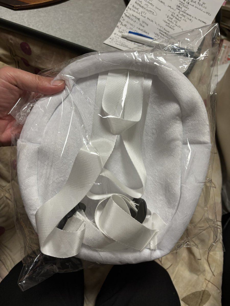 nosuke311's tweet image. お城エキスポで御城印購入したら、
ぷくぷくになってまんじゅうみたいになりました。

#お城エキスポ #御城印購入 #十万石まんじゅうリュック