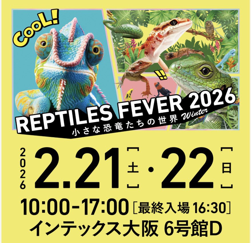 出店決まりました✨よろしくお願いします🙇