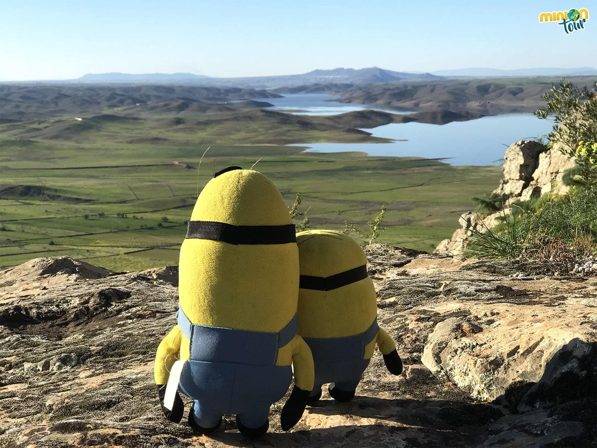 MiniOnTourES's tweet photo. ¡Hola amigui! 👋¿Todavía no nos sigues en #Instagram #TikTok o #Facebook? 😲 ¡Ya estás tardando! 🤭😇 Búscanos como MiniOnTourES 😎, que tus 2 Minions favoritos te están esperando 😜. Todos nuestros artículos los tienes en https://t.co/OyMuaYpj9d 😊 #ViajarMola con #MiniOnTour https://t.co/kgZEcbJXNf