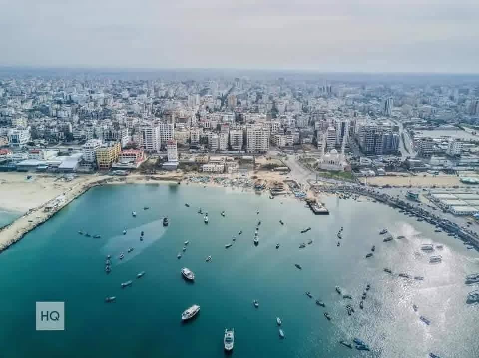 dr. mohammed hamad - Gaza tweet media