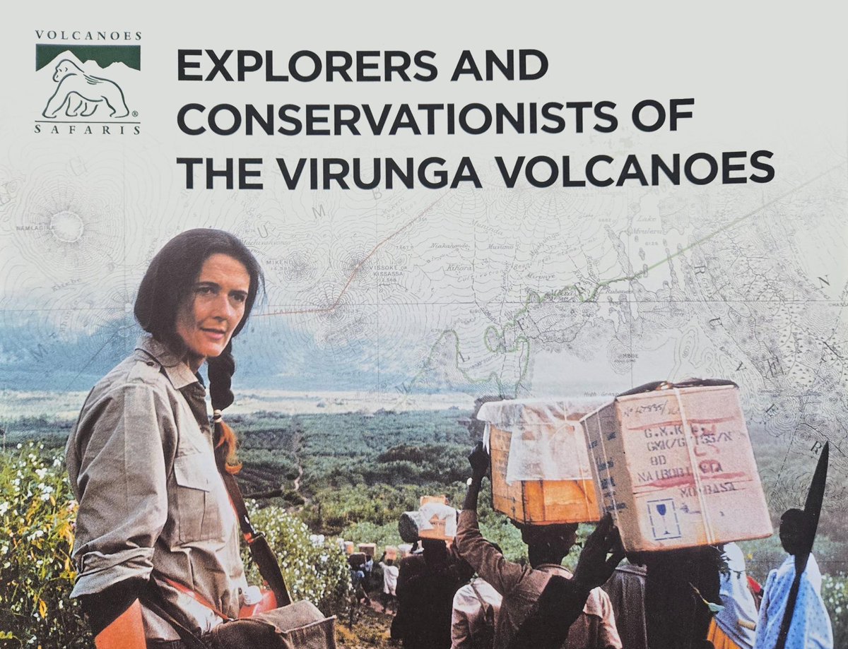 VolcanoesSafari's tweet image. In honor of Dr. Dian Fossey, the Dian Fossey Map Room at Virunga Lodge stands as a tribute to her unique contribution to mountain gorilla conservation.

Today marks the 40th anniversary of her tragic death, Volcanoes Safaris remembers and honours the legacy she left behind.