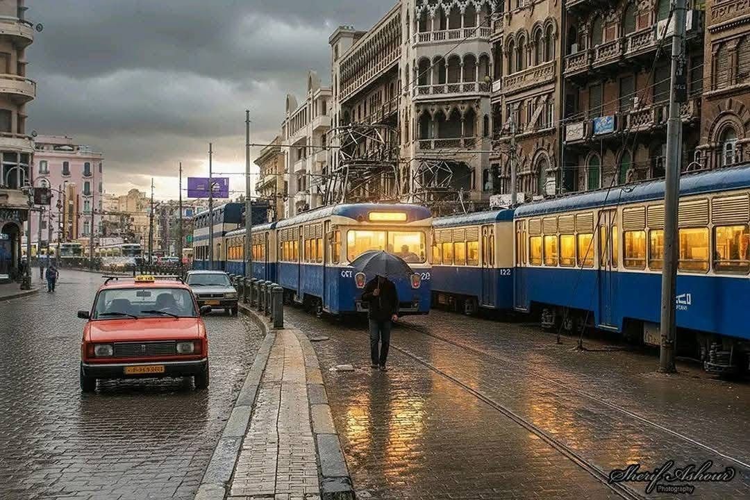 Alexandria_egy1's tweet image. ✨♥️