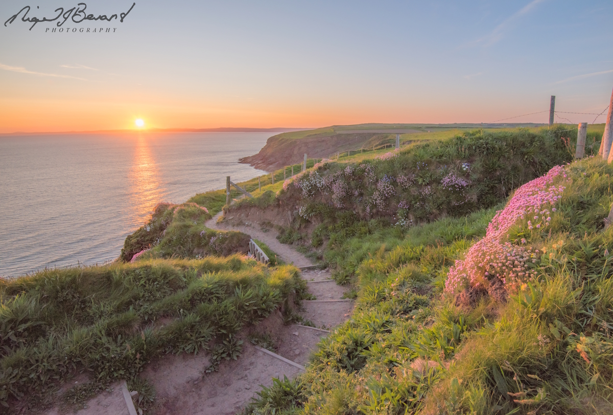 Nigel J Bevans Photo tweet media