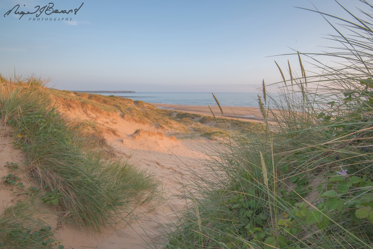 Nigel J Bevans Photo tweet media