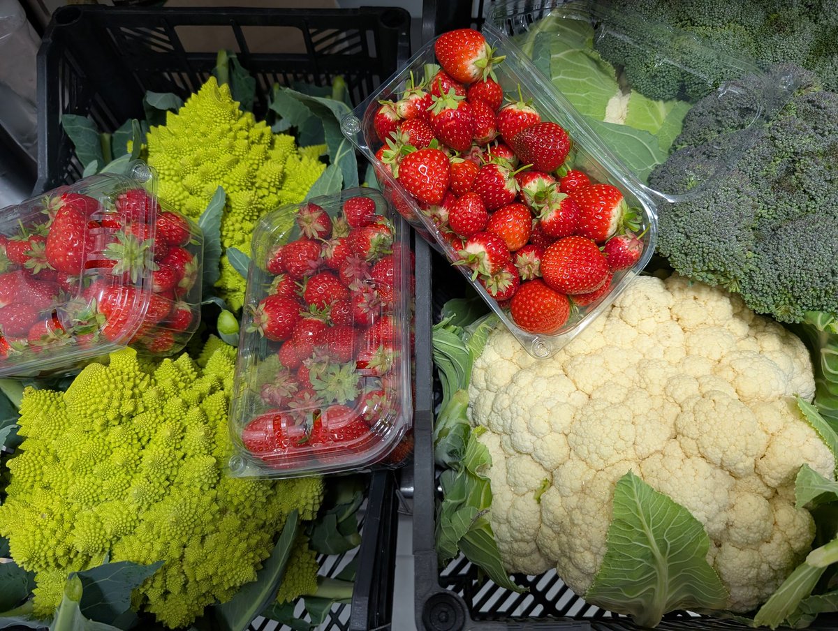 Fresca mañana la del 26.