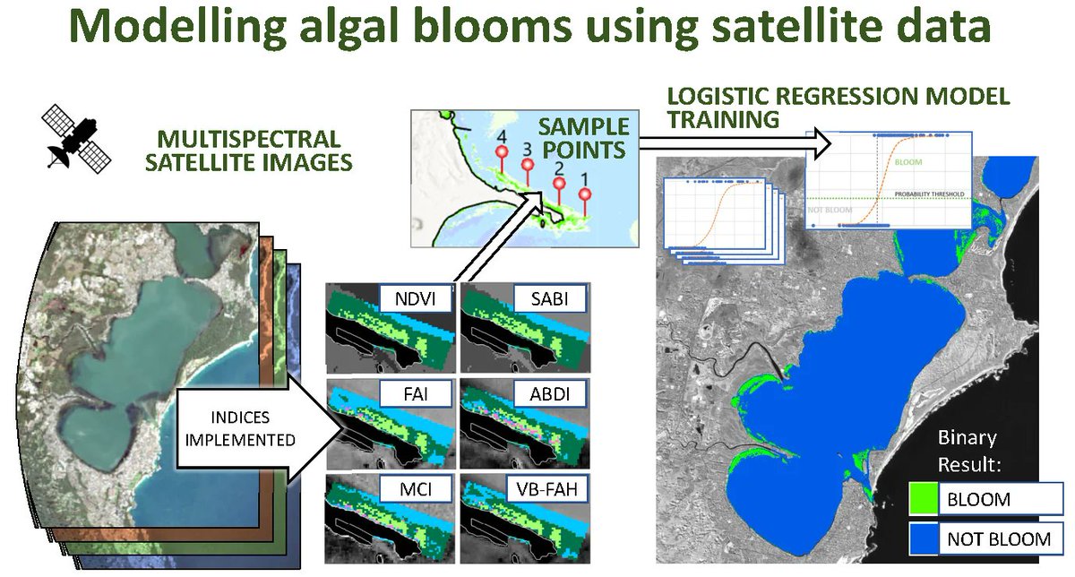 Hydrology_mdpi's tweet photo. #LatestPaper 
Modeling Estuarine Algal Bloom Dynamics with Satellite Data and Spectral Index-Based Classification

✍by Mayya Podsosonnaya et al.
👉https://t.co/yyE6FwnUkS

#macroalgal_blooms #remote_sensing #multi_spectral_images #logistic_regression #probability_of_blooms https://t.co/OtQNXIZgtE