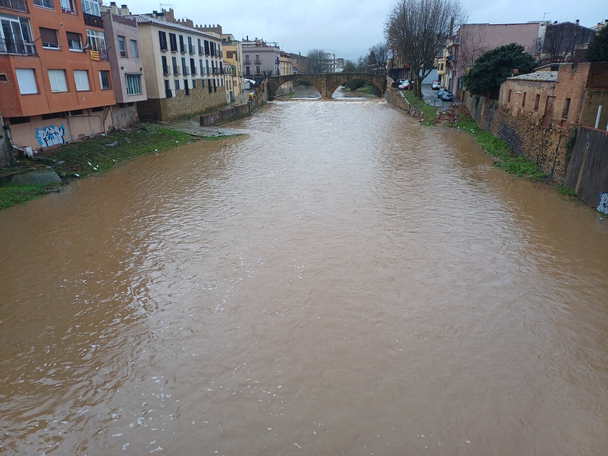 Carles P tweet media