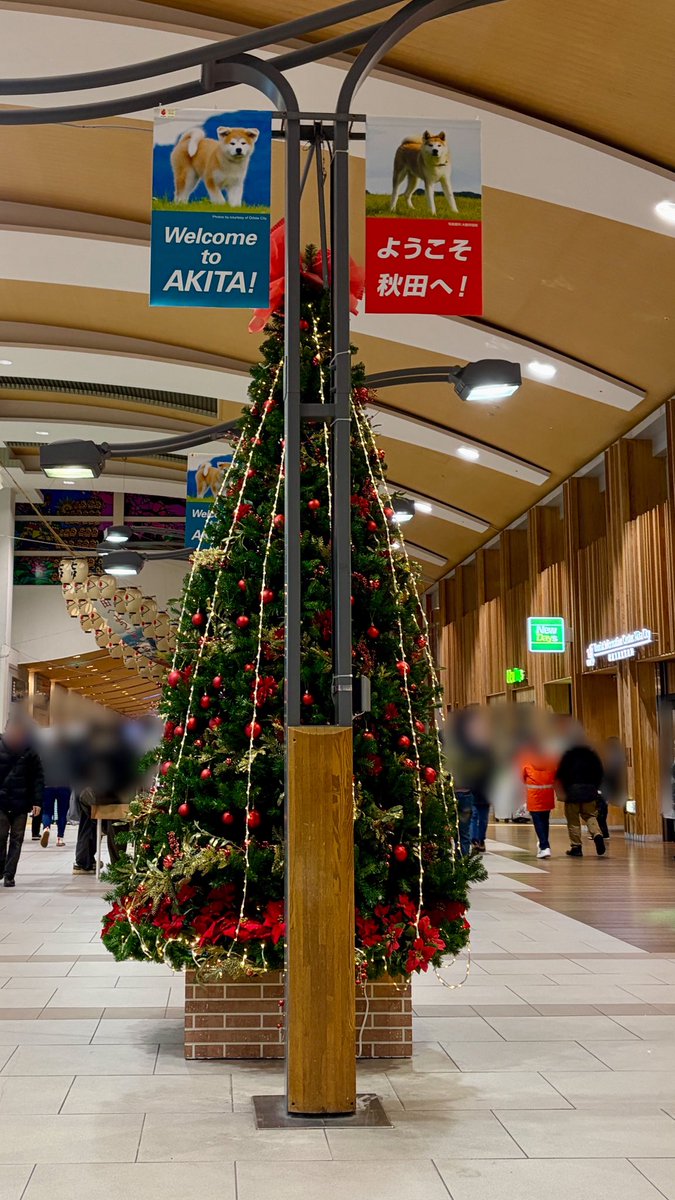 oyuki🧸 tweet media