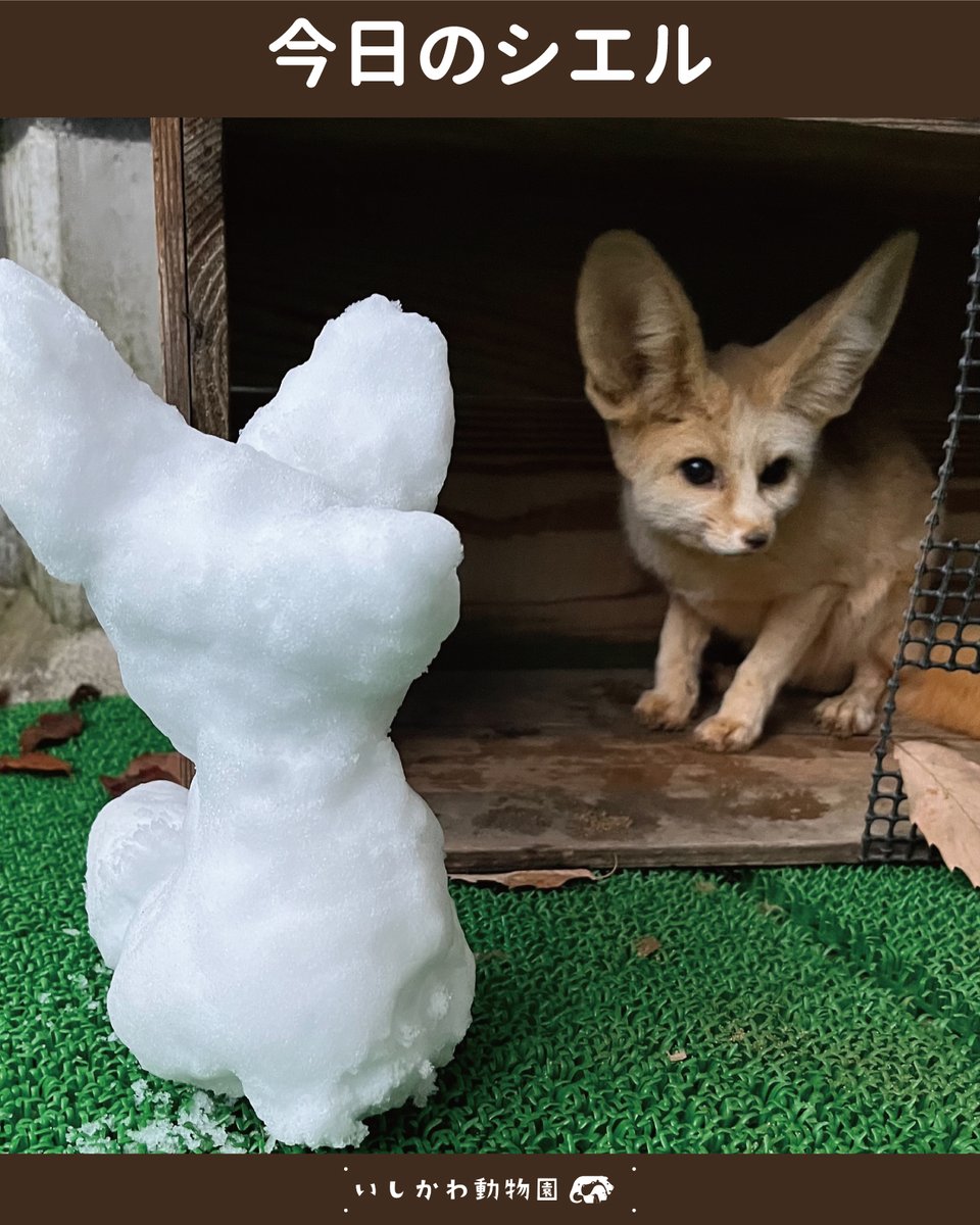 アーティスト　フェネック NationalPark_KV2_Master_f7.jpg