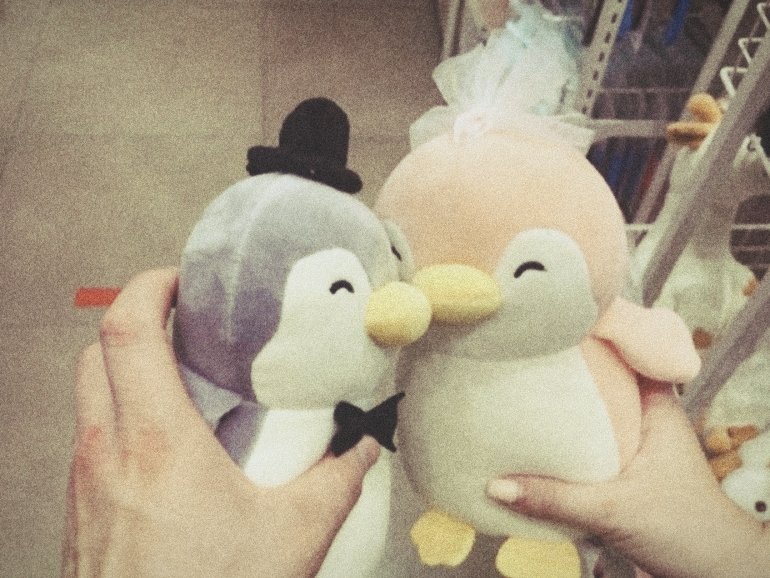 ppanglatte's tweet image. #juwaberry ; 🏸🐧