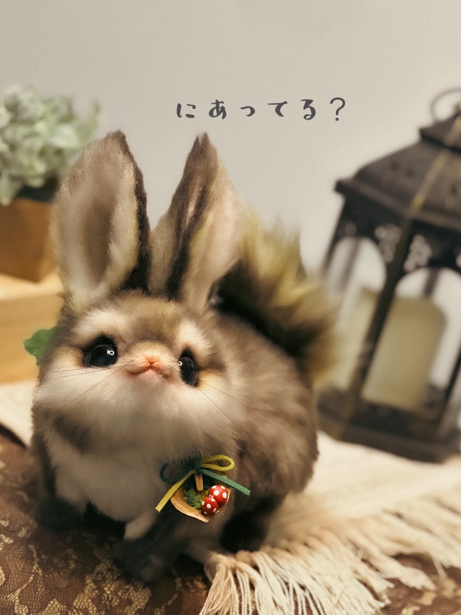 Teritre Doll/テリトルドール (@teritre_doll) / Posts / X