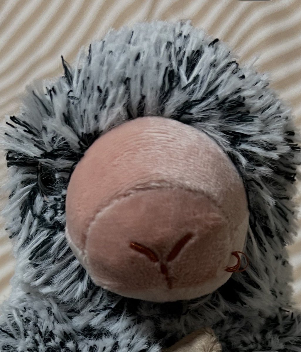ShachooCactus's tweet photo. 刺繍ほつれてるところが「😋」に見える。
これはこれでかわいい。
#Sunlemon #サンレモン #fluffies 
#オマキヤマアラシ https://t.co/Mknehb43Lq