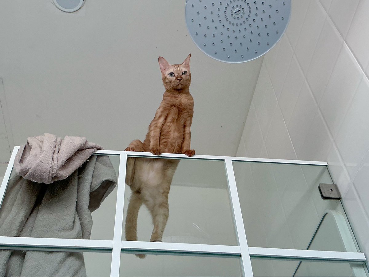 “คะ? อะไรคะ??”