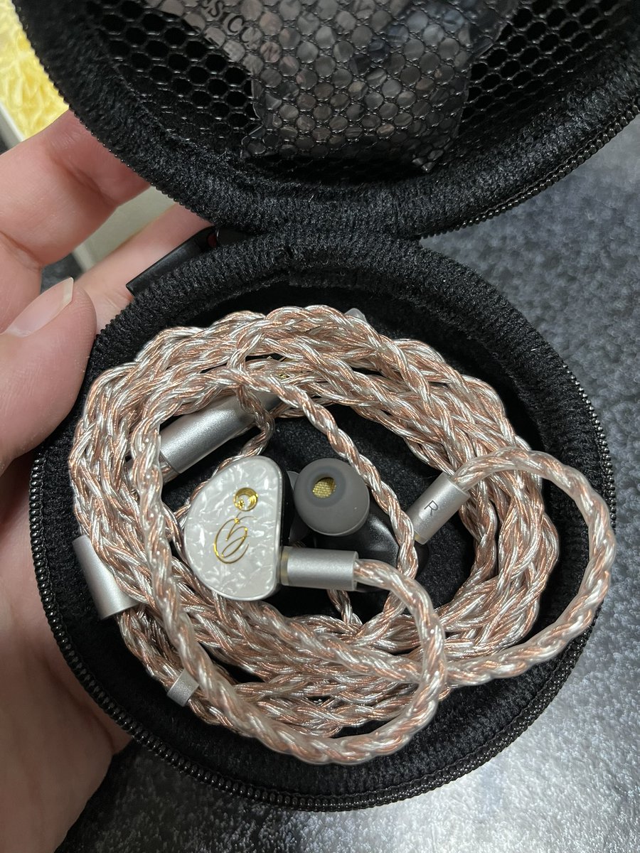 ゴスペラーズ30周年記念イヤホン、控えめに言って最高です😆 可能なら