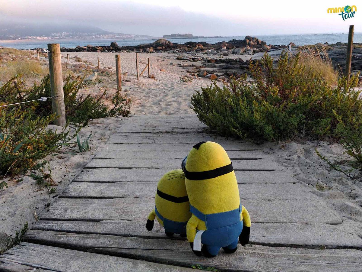 MiniOnTour tweet media