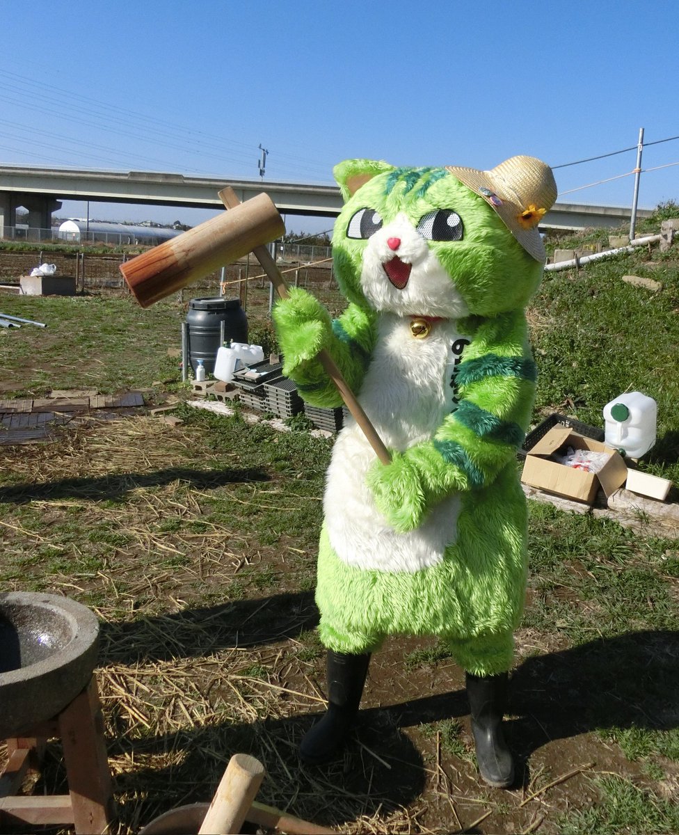 のらねこくん (@noraneko_pj) / Posts / X