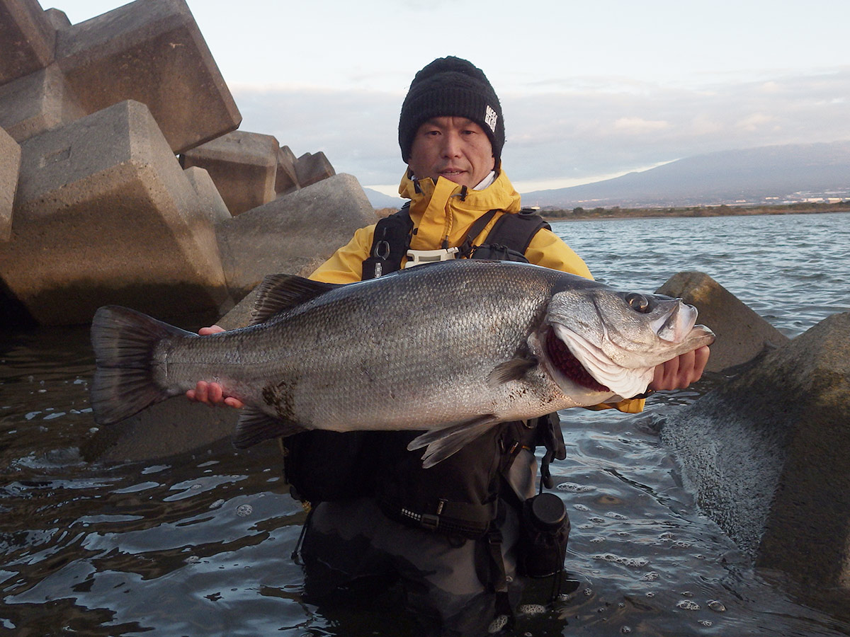 Megabass メガバス株式会社 (@megabass_jp) / Posts / X