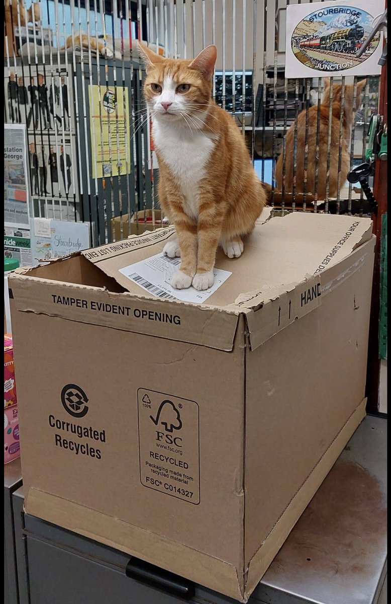 Happy Boxing Day

Boxes remind us that simple things can bring comfort
A warm spot, a quiet pause, a moment to belong

Boxes provide comfort, structure, and emotional support.
This should be recognised more formally

I am happy to be the official Box Appreciation Ambassador