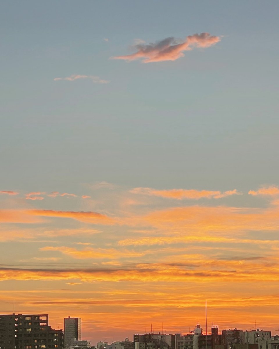 Osolo/オソロ tweet media