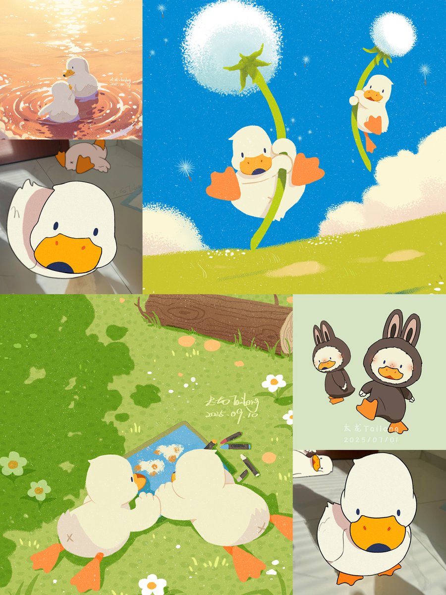 太龙Tailong tweet media