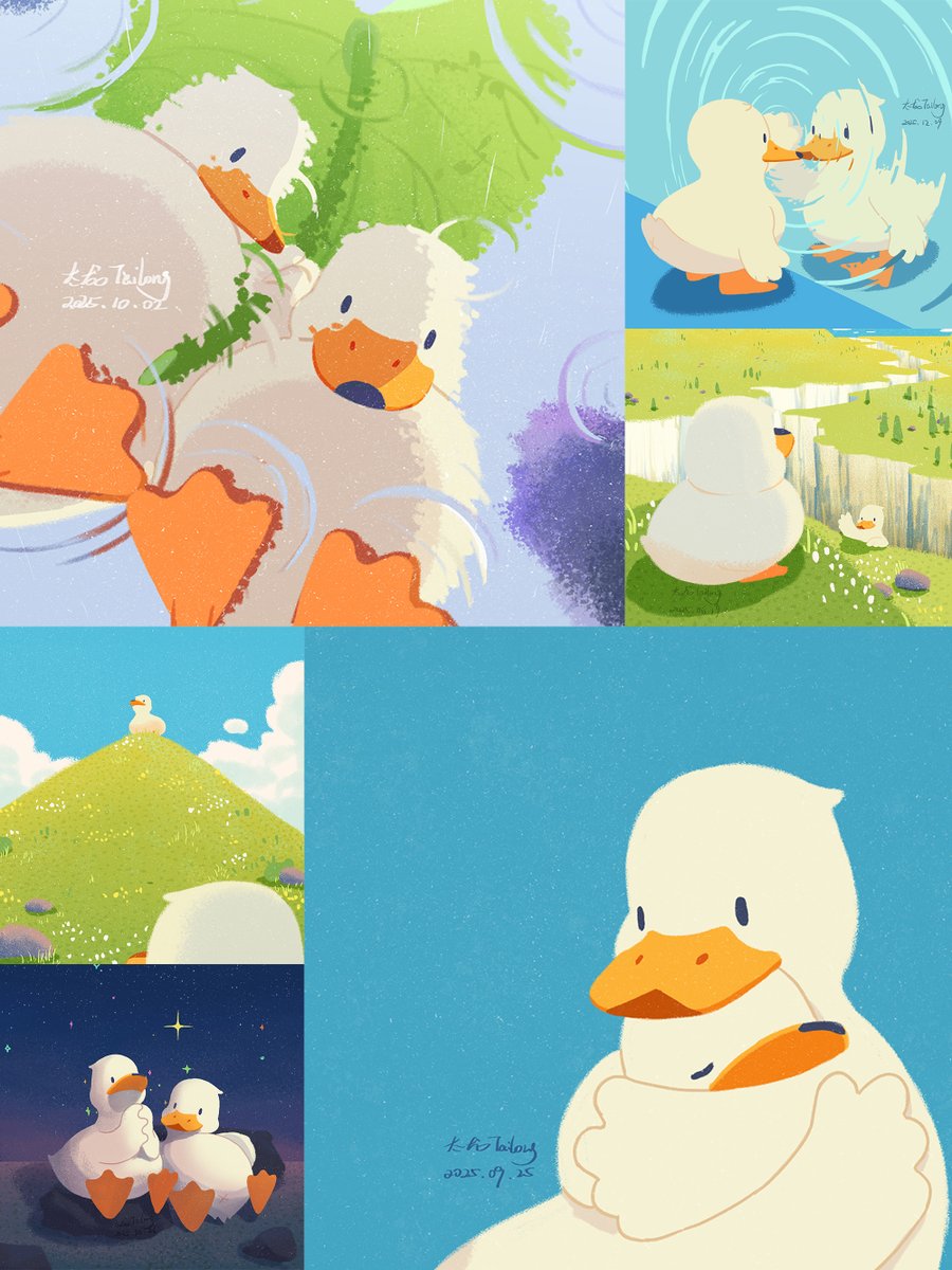 太龙Tailong tweet media