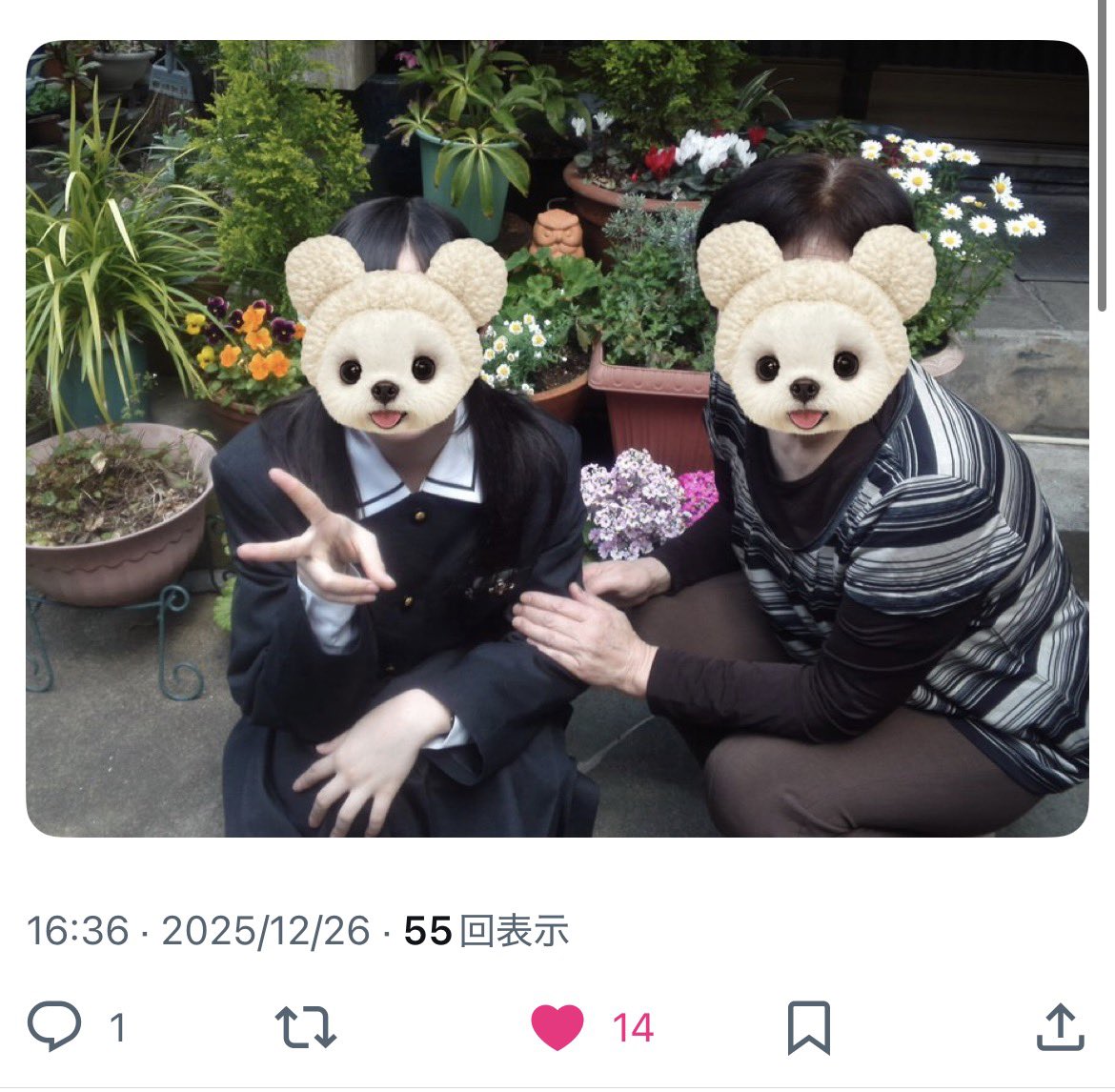 (՞_ ̫ _՞)ᐝ tweet media